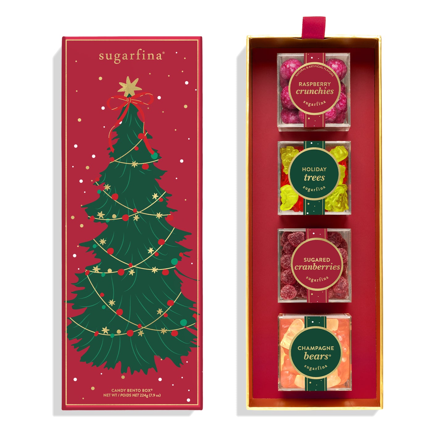 Christmas Tree 4pc Bento Box