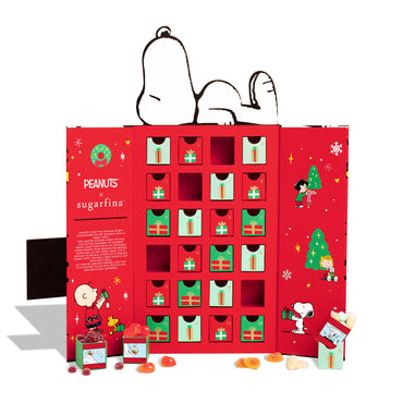 Peanuts Advent Calendar Bundle