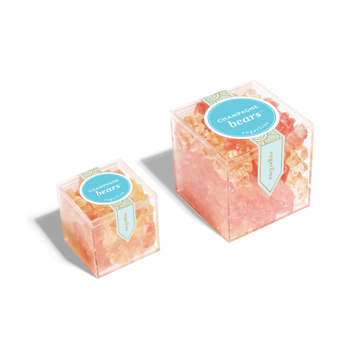 Champagne Bears Easify - Sugarfina Australia