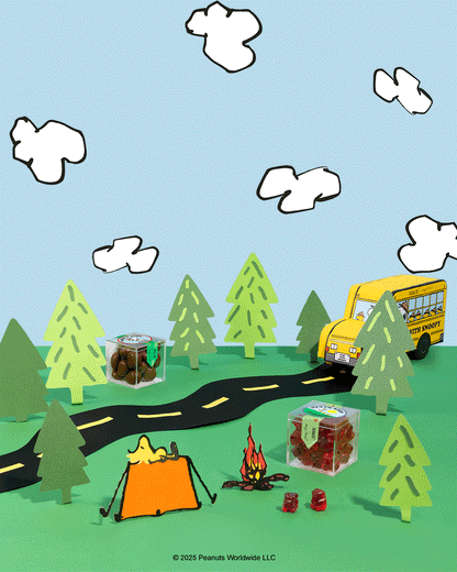 Camp With Snoopy 2Pc Bento Box® Peanuts®