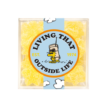Living That Outside Life -Lemonade Stars- Peanuts® - Sugarfina Australia