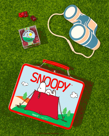 Snoopy Tin Lunch Box 3Pc Bento Box® Peanuts® - Sugarfina Australia