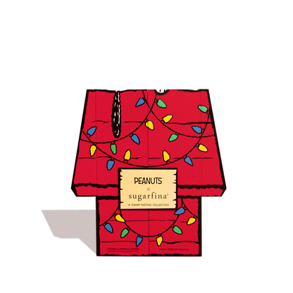 Snoopy's House Advent Calendar