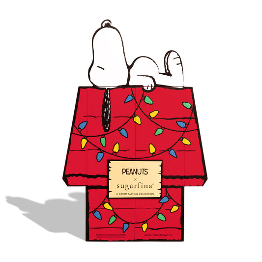 Snoopy's House Advent Calendar