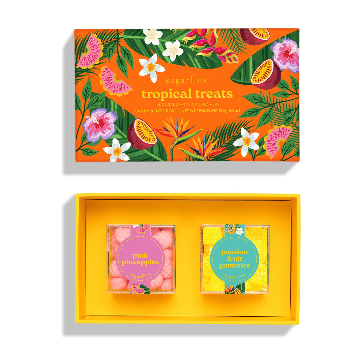 Tropical Treats 2pc Bento Box